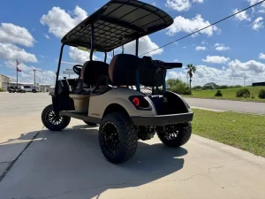 2026 E Z GO Dune 4 Gas (2)