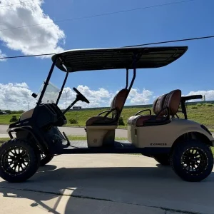 2026 E Z GO Dune 4 Gas (3)