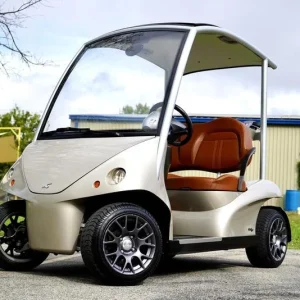 2011 Garia 2 Passenger for Sale (1)
