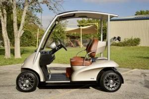 2011 Garia 2 Passenger for Sale (2)