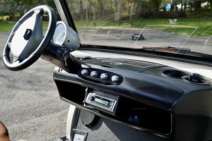 2011 Garia 2 Passenger for Sale (3)