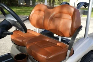 2011 Garia 2 Passenger for Sale (4)