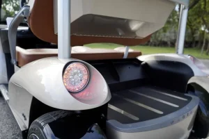 2011 Garia 2 Passenger for Sale (6)