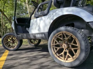 2017 Yamaha Drive 2 Lithium for Sale32 (10)