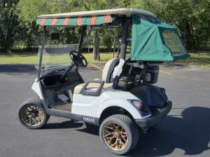2017 Yamaha Drive 2 Lithium for Sale32 (2)