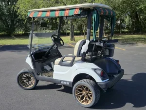 2017 Yamaha Drive 2 Lithium for Sale32 (3)