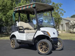 2017 Yamaha Drive 2 Lithium for Sale32 (4)