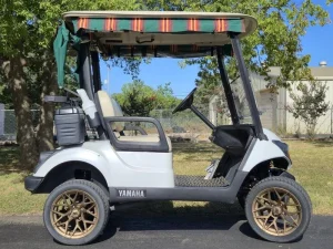 2017 Yamaha Drive 2 Lithium for Sale32 (6)