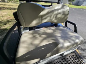 2017 Yamaha Drive 2 Lithium for Sale32 (9)