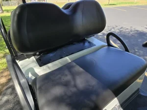 2019 CLUB CAR Tempo EcoBattery for Sale (4)