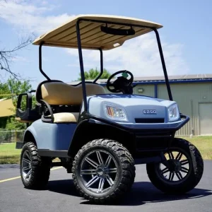 2019 E Z GO Freedom TXT Gas EFI for Sale (1)