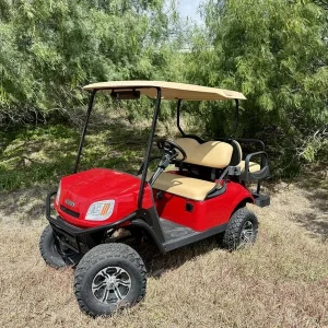 2019 E Z GO TXT KW Refurb Eco Battery Conversion for Sale (1)