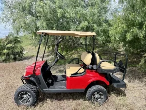 2019 E Z GO TXT KW Refurb Eco Battery Conversion for Sale (7)