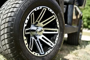 2020 Black E Z GO RXV ELiTE for Sale (4)