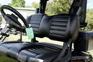 2020 Black E Z GO RXV ELiTE for Sale (6)