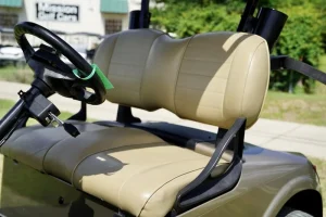 2020 E Z GO Fleet RXV ELiTE Almond for Sale (2)