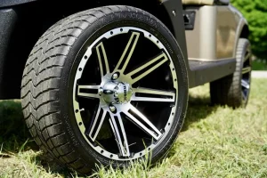 2020 E Z GO Fleet RXV ELiTE Almond for Sale (3)