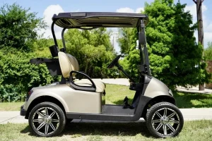 2020 E Z GO Fleet RXV ELiTE Almond for Sale (6)