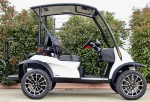 2023 Garia Via Lifted 4 Passenger Lithium for Sale (6)