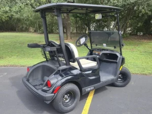 2024 Yamaha Drive 2 48V for Sale (2)