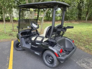 2024 Yamaha Drive 2 48V for Sale (5)