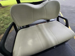 2024 Yamaha Drive 2 48V for Sale (6)