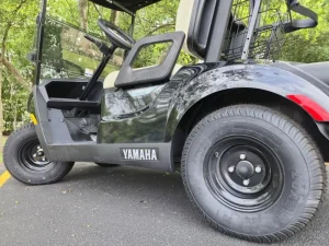 2024 Yamaha Drive 2 48V for Sale (7)