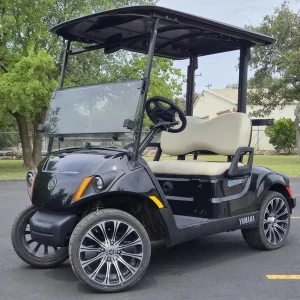 2024 Yamaha Drive 2 PTV Li ion Black for Sale (1)