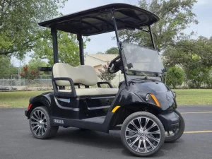 2024 Yamaha Drive 2 PTV Li ion Black for Sale (3)