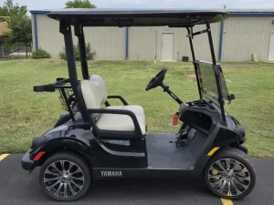 2024 Yamaha Drive 2 PTV Li ion Black for Sale (5)