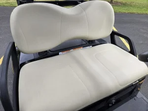 2024 Yamaha Drive 2 PTV Li ion Black for Sale (6)