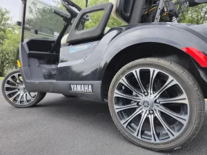 2024 Yamaha Drive 2 PTV Li ion Black for Sale (8)