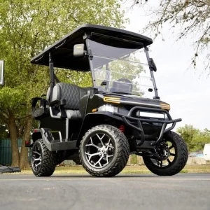 2025 Denago EV Nomad XL Black for Sale24 (1)