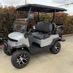 2025 Denago EV Nomad XL Gray for Sale (1)