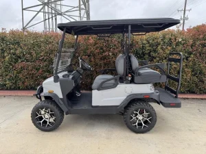 2025 Denago EV Nomad XL Gray for Sale (3)