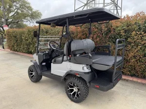 2025 Denago EV Nomad XL Gray for Sale (4)