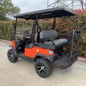 2025 Denago EV Nomad XL Lava for Sale (3)