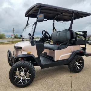 2025 Denago EV Nomad XL for Sale100 (1)