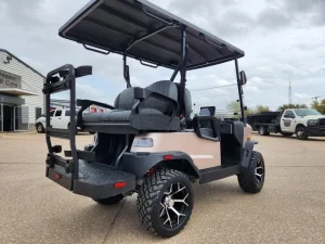 2025 Denago EV Nomad XL for Sale100 (2)