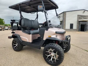 2025 Denago EV Nomad XL for Sale100 (3)