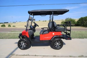 2025 Denago EV Nomad XL for Sale11 (2)