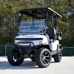 2025 Denago EV Nomad XL for Sale122 (1)