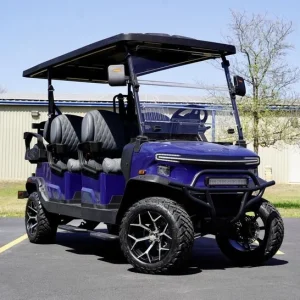 2025 Denago EV Rover XL 6 Blue for Sale 34 (1)