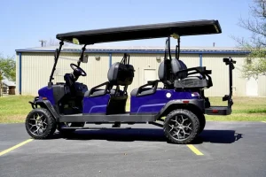 2025 Denago EV Rover XL 6 Blue for Sale 34 (10)