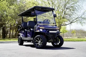 2025 Denago EV Rover XL 6 Blue for Sale 34 (11)