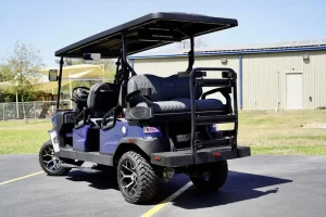 2025 Denago EV Rover XL 6 Blue for Sale 34 (2)