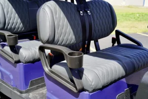 2025 Denago EV Rover XL 6 Blue for Sale 34 (5)