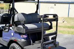 2025 Denago EV Rover XL 6 Blue for Sale 34 (7)