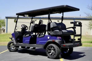 2025 Denago EV Rover XL 6 Blue for Sale 34 (8)