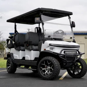 2025 Denago EV Rover XL 6 White for Sale25 (1)